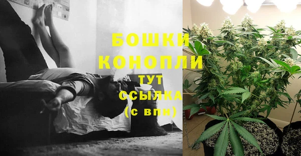 ALPHA PVP Белокуриха